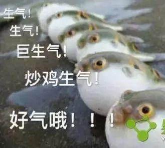 鐘元不止一個(gè) 1億新生代農(nóng)民工未婚現(xiàn)狀與業(yè)余生活剖析